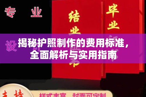 茄子河揭秘护照制作的费用标准，全面解析与实用指南